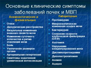 Инфекция почек симптомы