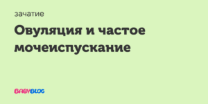 При овуляции частое мочеиспускание