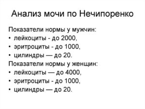 Лейкоциты в моче по нечипоренко у ребенка