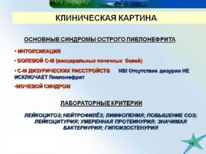 Чем снять болевой синдром при пиелонефрите