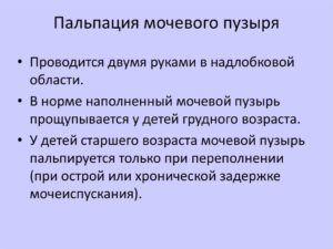 Пальпация почки и мочевого пузыря