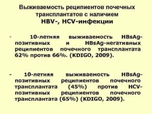 Реципиенты почки контакты