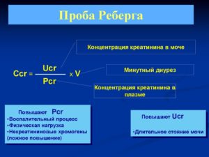 Проба реберга формула расчета