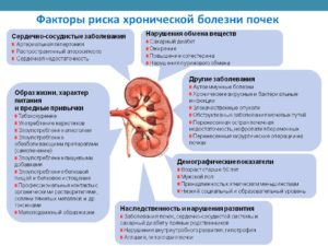 Заболевания почек и мочевыводящих путей факторы риска