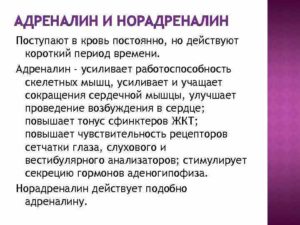 Адреналин и норадреналин вырабатываются в