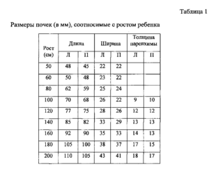 Какой размер почек норма