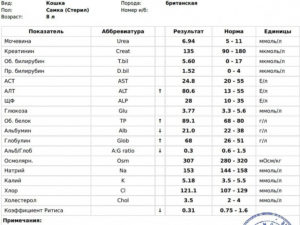 Соотношение креатинина и мочевины в крови у кошек