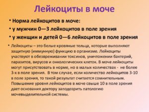 Повышенные лейкоциты в моче у мужчин что это значит