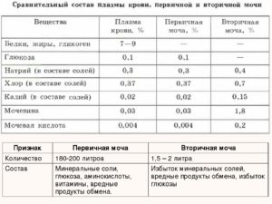 Первичная моча здорового человека не содержит