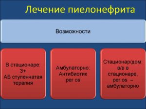 Как долго лечат пиелонефрит