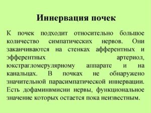 Уровень иннервации почек