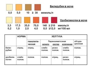 Билирубин в моче повышен при беременности