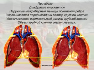 Болит почка слева при вдохе