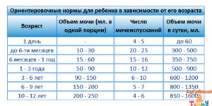 Сколько мочи нужно для анализа ребенка до года