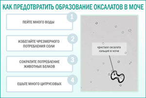 В моче много оксалатов у ребенка