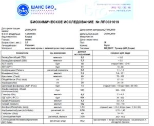 Соотношение креатинина и мочевины в крови у кошек