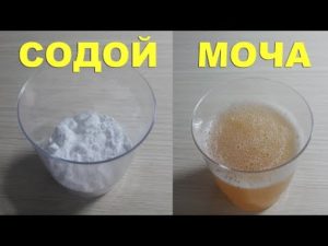 Как определить беременность с содой и мочой