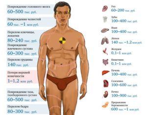 Сколько стоит почка человека в белоруссии