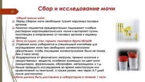 Можно ли вечером собрать мочу а утром сдать