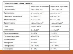 Анализ крови женщина 60 лет норма