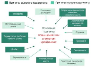 Высокий креатинин лечение