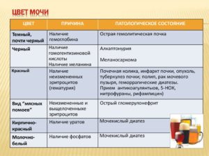 Какой нормальный цвет мочи у взрослого