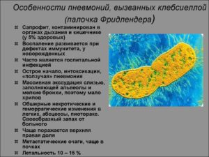 Клебсиелла пневмония в простате