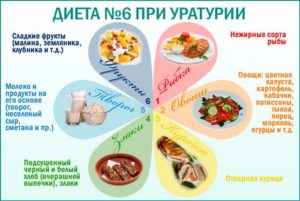 Диета при камнях в почках мочевой кислоты