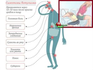 Боль в области почек рвота понос