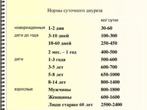 Суточная норма мочи с одной почкой