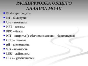 Что это в анализе мочи neg что
