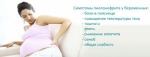 Симптомы пиелонефрита при беременности на ранних сроках
