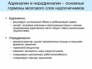 Адреналин и норадреналин вырабатываются в