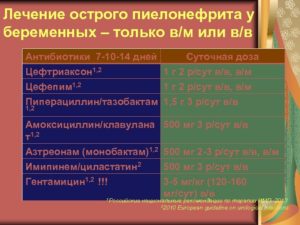 Пиелонефрит лечение антибиотиками при беременности