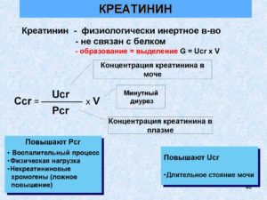 Креатинин 120 что может быть