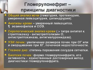 План обследования при гломерулонефрите