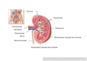 Расширения чашечек обеих почек и имвп