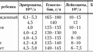 При прорезывании зубов лейкоциты в моче