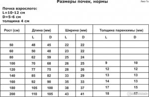 Размер чашечек и лоханки почек в норме