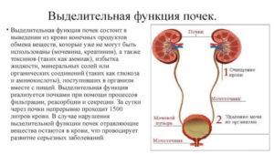 Нарушение экскреторной функции почек средней степени