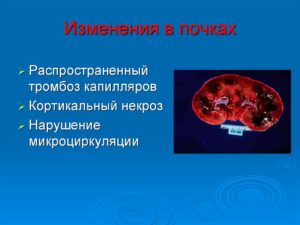 Неспецифические структурные изменения в почках что это