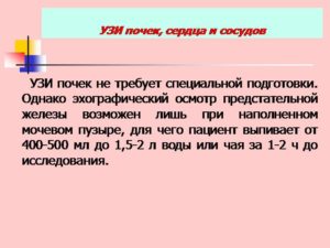 Подготовка к узи почек мочевого пузыря и предстательной железы