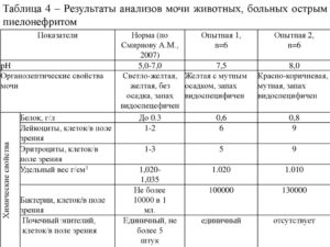 Показатели общего анализа мочи при остром пиелонефрите