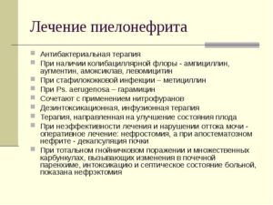 Пиелонефрит симптомы и лечение у мужчин народными средствами