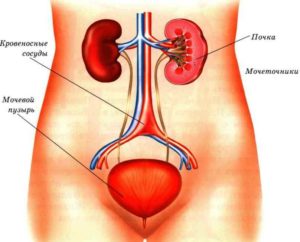 Проблемы с мочевым пузырем