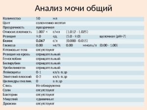 Количество мочи для общего клинического анализа в мл