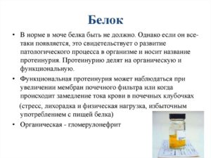 Как уменьшить белок в моче