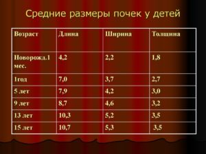 Размер почек у ребенка в 5 лет