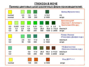 Сахар в моче у беременных после еды