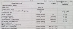 Лейкоциты в моче 25